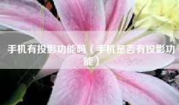 手机有投影功能吗（手机是否有投影功能）