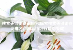 搜索关键词查询排名,探索搜索关键词查询排名，洞悉市场行情的关键