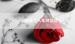 2024地质个人年终总结