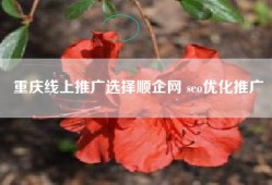 重庆线上推广选择顺企网 seo优化推广