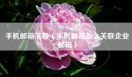 手机邮箱关联（手机邮箱怎么关联企业邮箱）