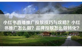 小红书直播推广投放技巧与攻略？小红书推广怎么做？品牌投放怎么做转化？
