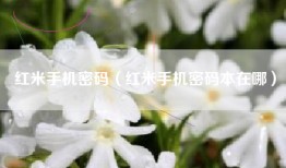 红米手机密码（红米手机密码本在哪）