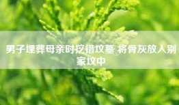 男子埋葬母亲时挖错坟墓 将骨灰放入别家坟中