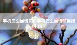 手机怎么当话筒（手机怎么当话筒连接电脑）