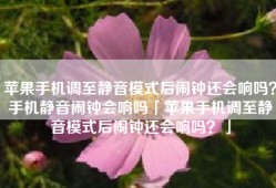 苹果手机调至静音模式后闹钟还会响吗？手机静音闹钟会响吗「苹果手机调至静音模式后闹钟还会响吗？」