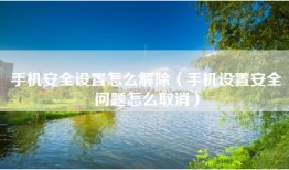 手机安全设置怎么解除（手机设置安全问题怎么取消）