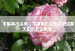 苹果手机误删（苹果手机误删了微信聊天记录怎么恢复）