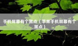 手机屏幕有个黑点（苹果手机屏幕有个黑点）