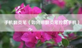 手机翻页笔（如何用翻页笔控制手机）