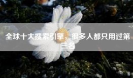 全球十大搜索引擎，很多人都只用过第三名