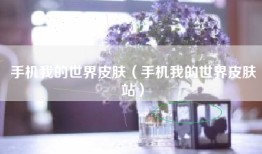 手机我的世界皮肤（手机我的世界皮肤站）