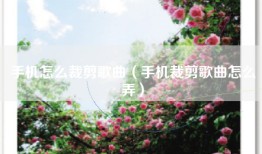 手机怎么裁剪歌曲（手机裁剪歌曲怎么弄）