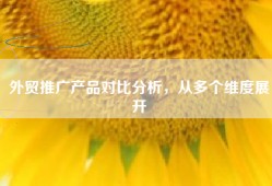 外贸推广产品对比分析，从多个维度展开
