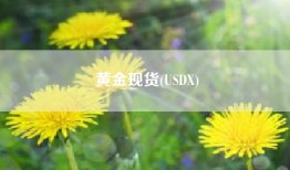 黄金现货(USDX)