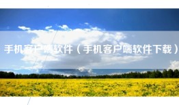 手机客户端软件（手机客户端软件下载）