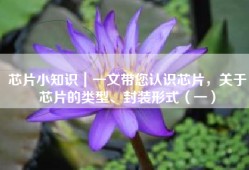 芯片小知识｜一文带您认识芯片，关于芯片的类型、封装形式（一）
