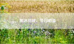 黑冰羽绒，冬日必备