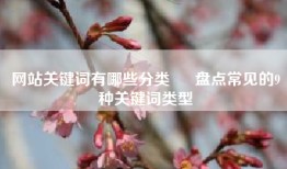 网站关键词有哪些分类 – 盘点常见的9种关键词类型