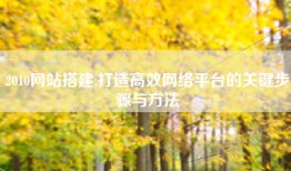 2010网站搭建,打造高效网络平台的关键步骤与方法