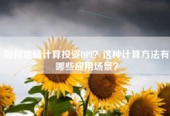 如何准确计算投资DPI？这种计算方法有哪些应用场景？