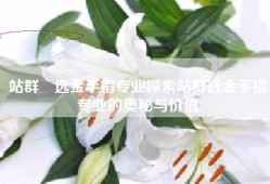 站群牜选金手指专业探索站群选金手指专业的奥秘与价值
