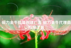 磁力金牛批量创建广告 磁力金牛代理商投放工具