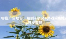 零撸广告项目：短剧+小说+游戏+商城app开发源码