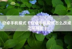 安卓手机模式（安卓手机模式怎么改成正常模式）