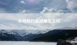 水母粉钓鱼效果怎么样