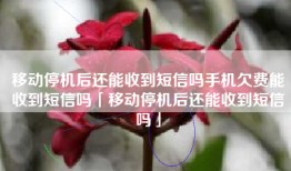 移动停机后还能收到短信吗手机欠费能收到短信吗「移动停机后还能收到短信吗」