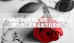 苹果手机通话录音在哪里（苹果手机通话录音在哪里设置怎样设置）