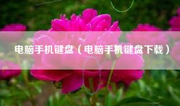 电脑手机键盘（电脑手机键盘下载）