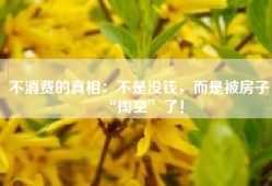 不消费的真相：不是没钱，而是被房子“掏空”了！
