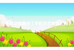 手机状态查询（手机状态查询代码）