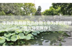 华为手机相册怎么分类（华为手机相册怎么分类保存）