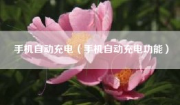 手机自动充电（手机自动充电功能）