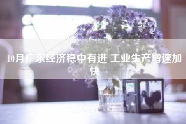 10月广东经济稳中有进 工业生产增速加快