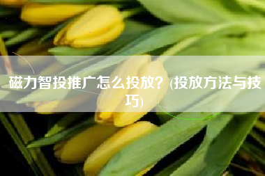 磁力智投推广怎么投放？(投放方法与技巧)