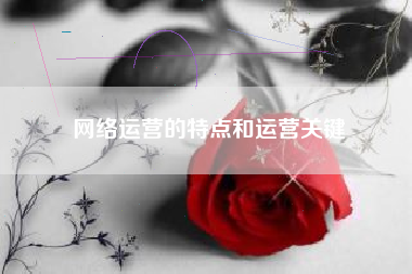 网络运营的特点和运营关键