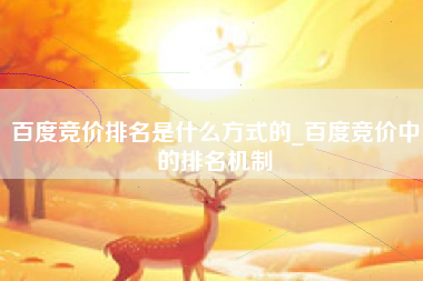 百度竞价排名是什么方式的_百度竞价中的排名机制