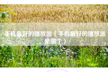 手机最好的播放器（手机最好的播放器是哪个）