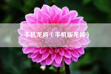 手机龙将（手机版龙将）