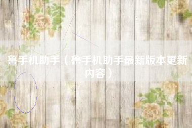 鲁手机助手（鲁手机助手最新版本更新内容）