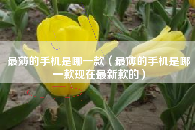 最薄的手机是哪一款（最薄的手机是哪一款现在最新款的）