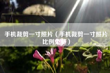 手机裁剪一寸照片（手机裁剪一寸照片比例免费）