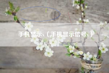 手机显示x（手机显示信号x）