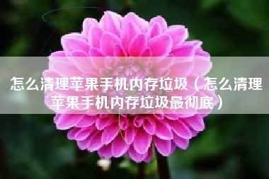 怎么清理苹果手机内存垃圾（怎么清理苹果手机内存垃圾最彻底）