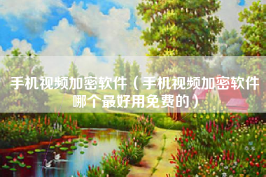手机视频加密软件（手机视频加密软件哪个最好用免费的）
