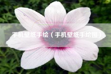 手机壁纸手绘（手机壁纸手绘图）